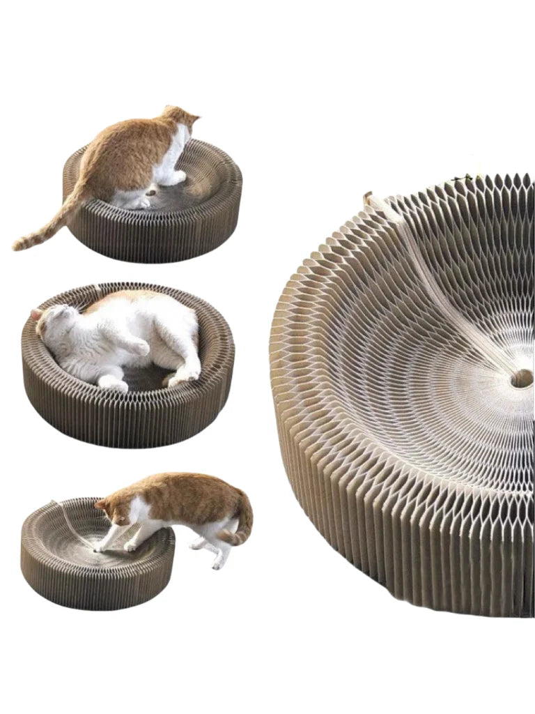 Bring fun and comfort to your cat with this Foldable Magic Organ Scratching Board. Made of durable, recyclable cardboard, it satisfies scratching instincts, offers a cozy rest spot, and keeps playtime interactive and engaging every day.