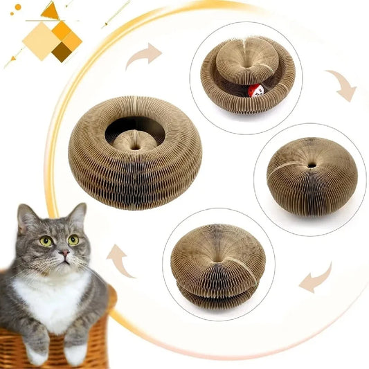Bring fun and comfort to your cat with this Foldable Magic Organ Scratching Board. Made of durable, recyclable cardboard, it satisfies scratching instincts, offers a cozy rest spot, and keeps playtime interactive and engaging every day.