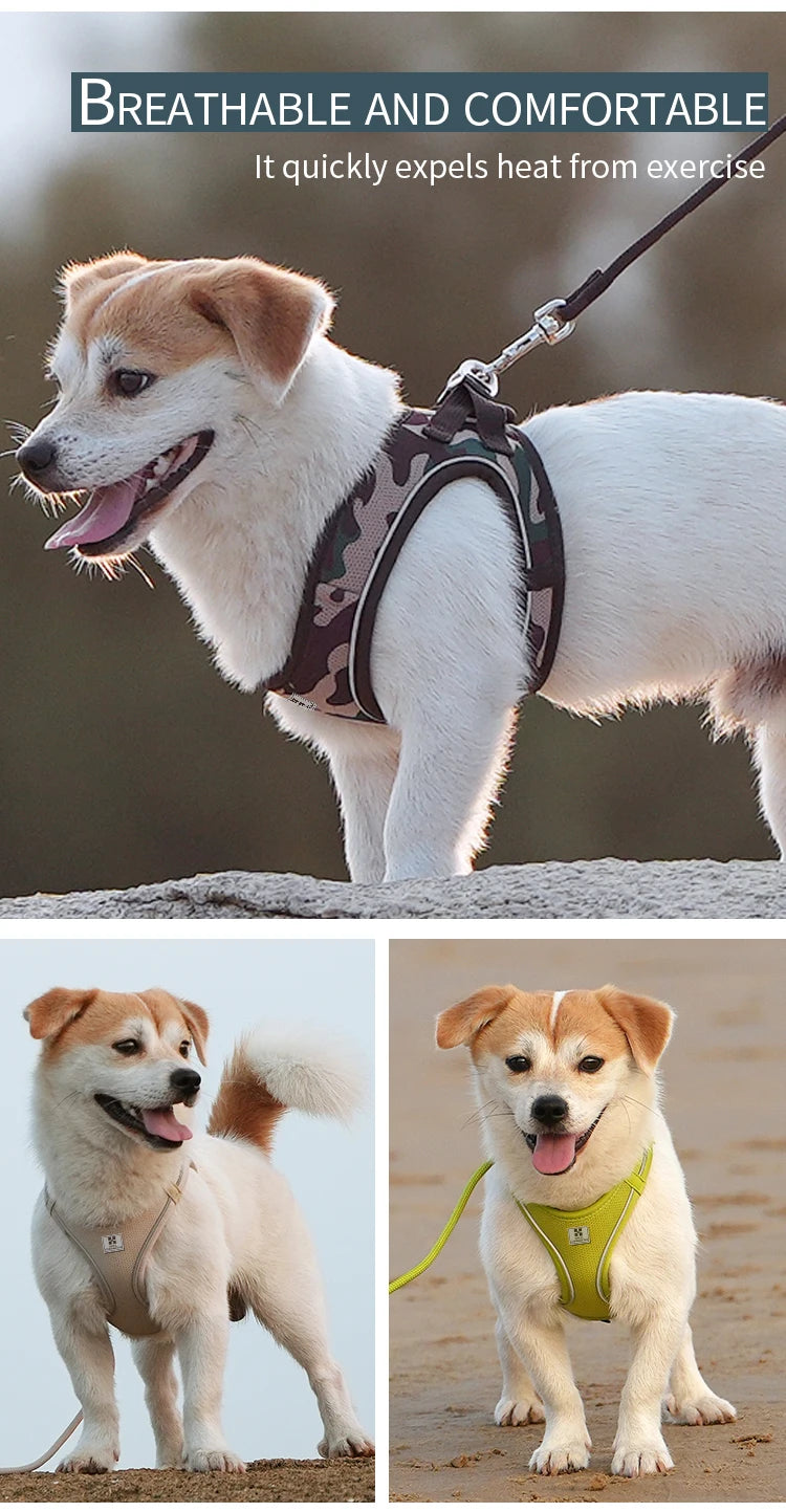 Get safer outdoor walks with this Adjustable Reflective Dog Harness and Leash Set. Ideal for small and medium dogs, it offers secure control, visibility, and comfort—perfect for Chihuahuas, Dachshunds and everyday pet walking.
