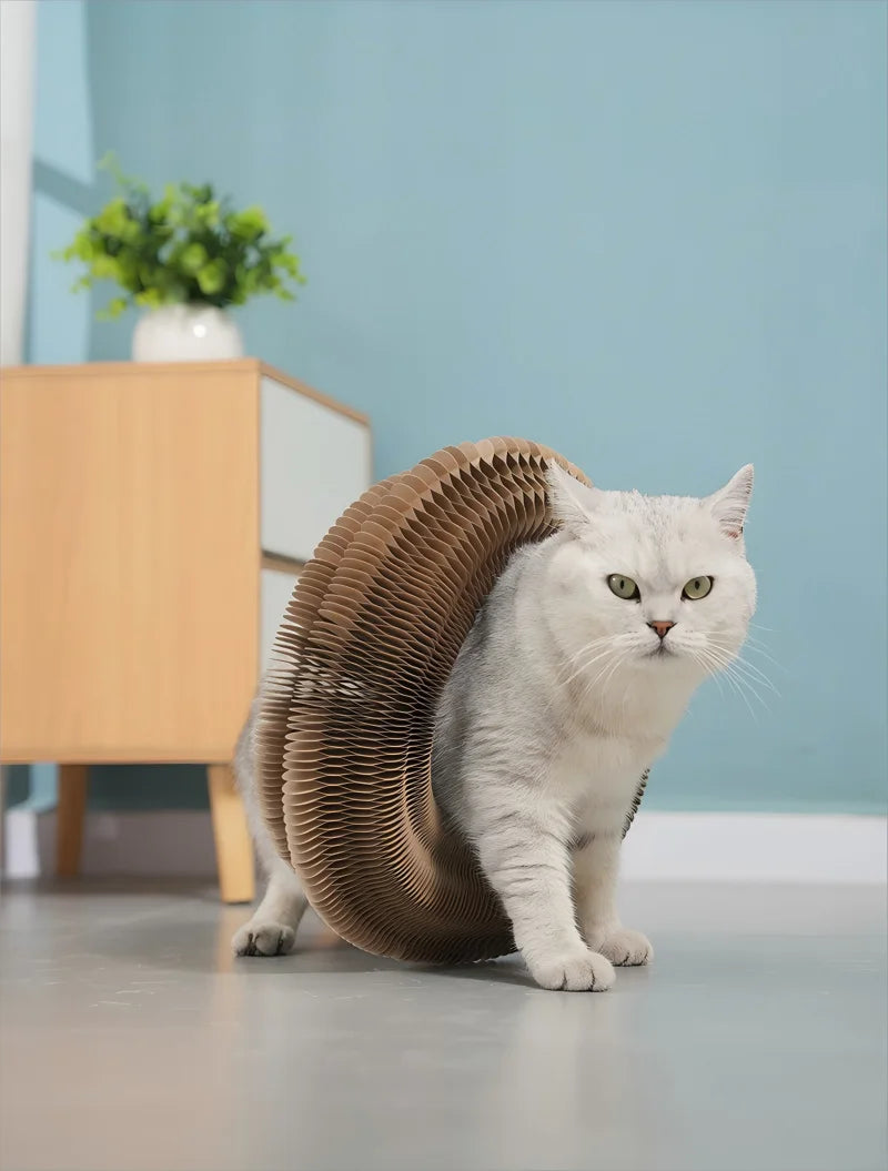Bring fun and comfort to your cat with this Foldable Magic Organ Scratching Board. Made of durable, recyclable cardboard, it satisfies scratching instincts, offers a cozy rest spot, and keeps playtime interactive and engaging every day.