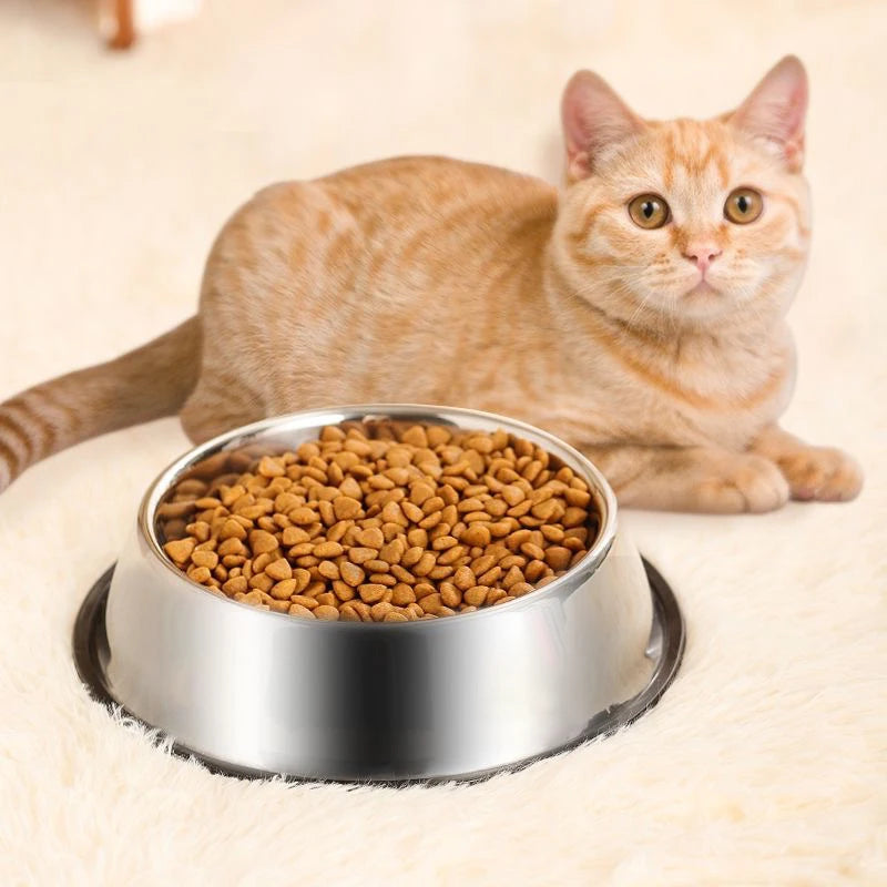 Keep your pet’s meals clean and stable with this Stainless Steel Pet Bowl. Durable, skidproof and anti‑ant, it offers safe feeding for dogs and cats, with six size options for perfect comfort at every meal.