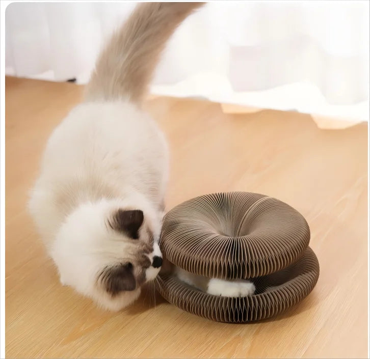 Bring fun and comfort to your cat with this Foldable Magic Organ Scratching Board. Made of durable, recyclable cardboard, it satisfies scratching instincts, offers a cozy rest spot, and keeps playtime interactive and engaging every day.