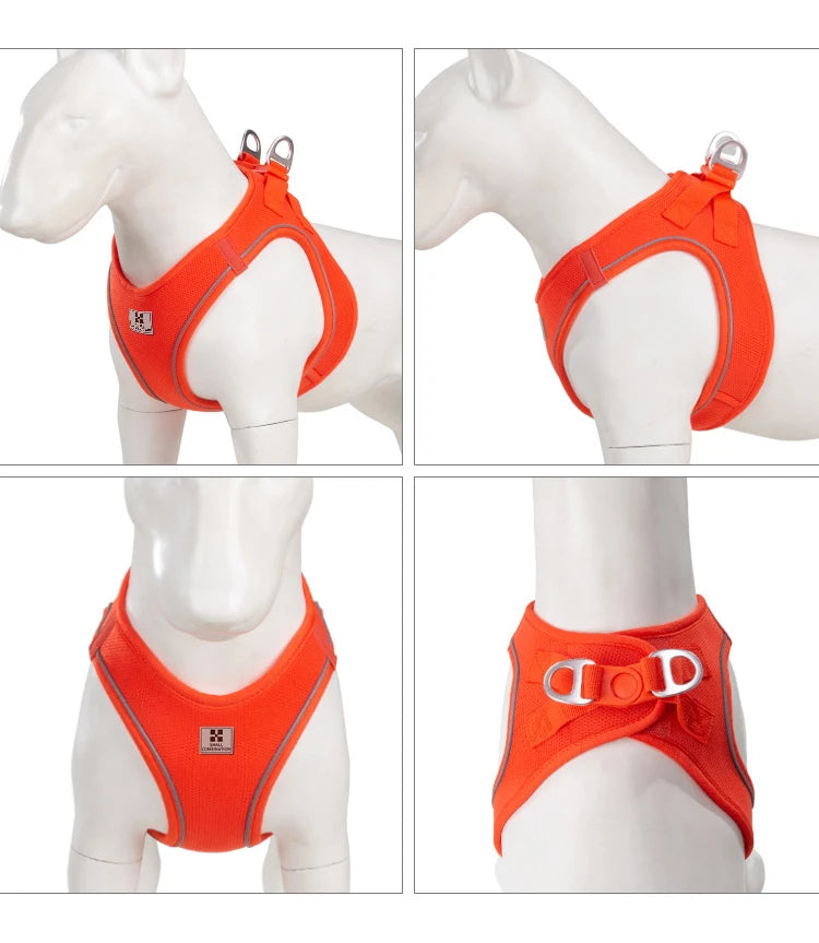 Get safer outdoor walks with this Adjustable Reflective Dog Harness and Leash Set. Ideal for small and medium dogs, it offers secure control, visibility, and comfort—perfect for Chihuahuas, Dachshunds and everyday pet walking.