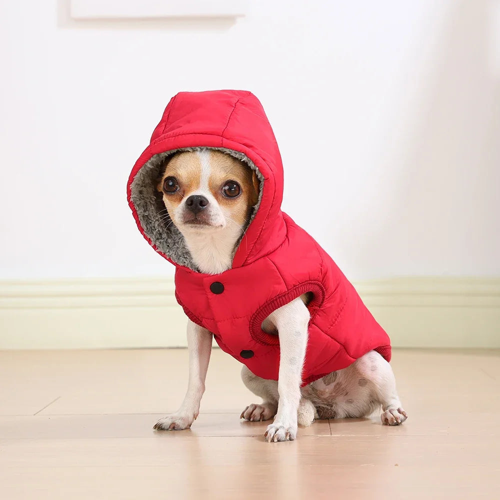 Keep your pet warm, dry and comfortable all winter. This thick, waterproof hooded jacket features soft fleece lining for cosy warmth, perfect for small and medium dogs or cats. Ideal for chilly walks and cold days.