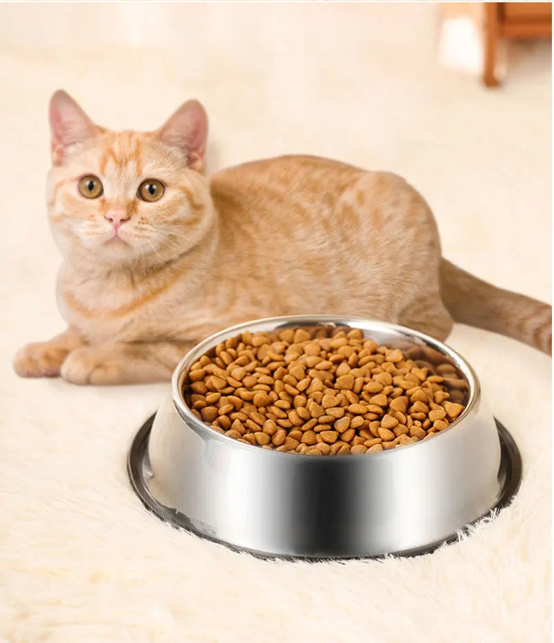 Keep your pet’s meals clean and stable with this Stainless Steel Pet Bowl. Durable, skidproof and anti‑ant, it offers safe feeding for dogs and cats, with six size options for perfect comfort at every meal.