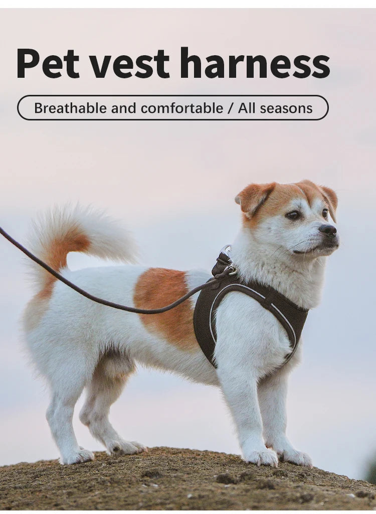 Get safer outdoor walks with this Adjustable Reflective Dog Harness and Leash Set. Ideal for small and medium dogs, it offers secure control, visibility, and comfort—perfect for Chihuahuas, Dachshunds and everyday pet walking.