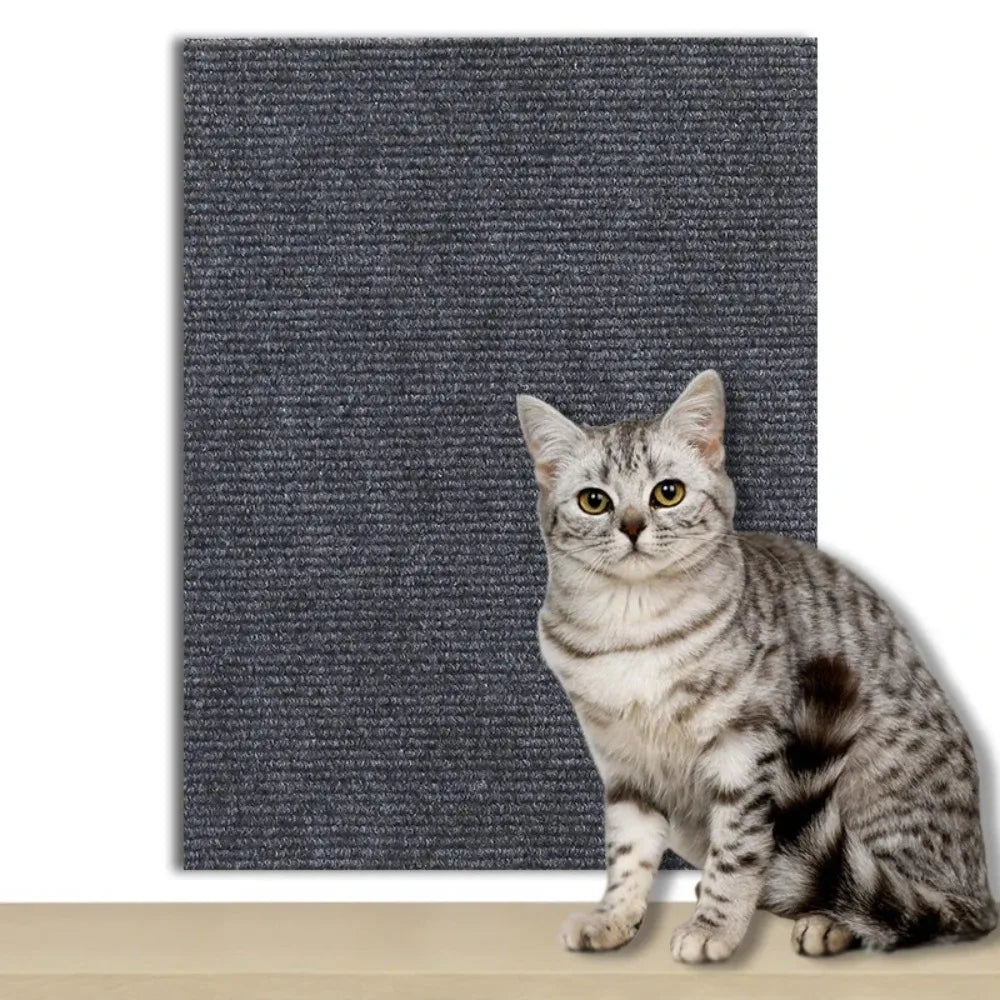 Let your cat scratch naturally while protecting your sofa and walls. PLOVG is a self-adhesive, trimmable DIY scratch protector that supports healthy claw sharpening and keeps your home calm, clean and damage-free.