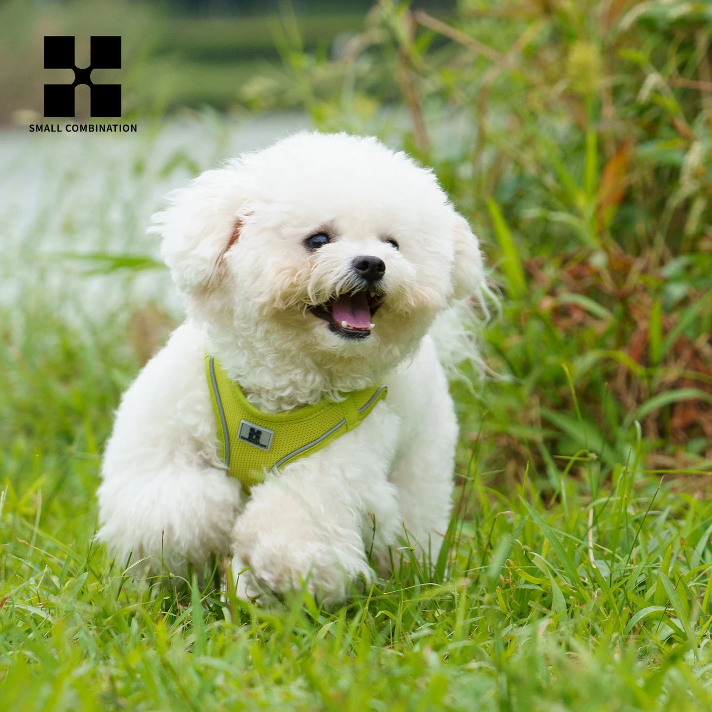 Get safer outdoor walks with this Adjustable Reflective Dog Harness and Leash Set. Ideal for small and medium dogs, it offers secure control, visibility, and comfort—perfect for Chihuahuas, Dachshunds and everyday pet walking.