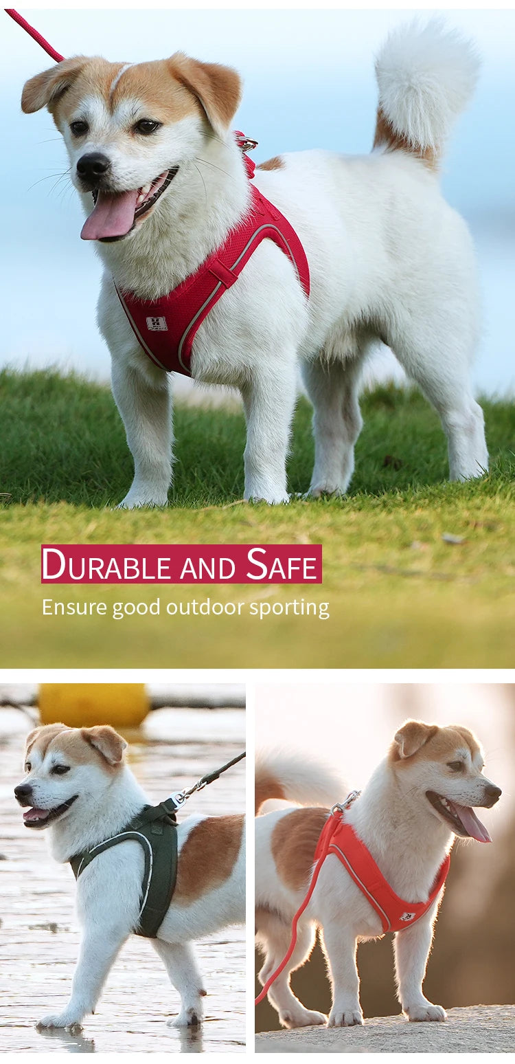 Get safer outdoor walks with this Adjustable Reflective Dog Harness and Leash Set. Ideal for small and medium dogs, it offers secure control, visibility, and comfort—perfect for Chihuahuas, Dachshunds and everyday pet walking.