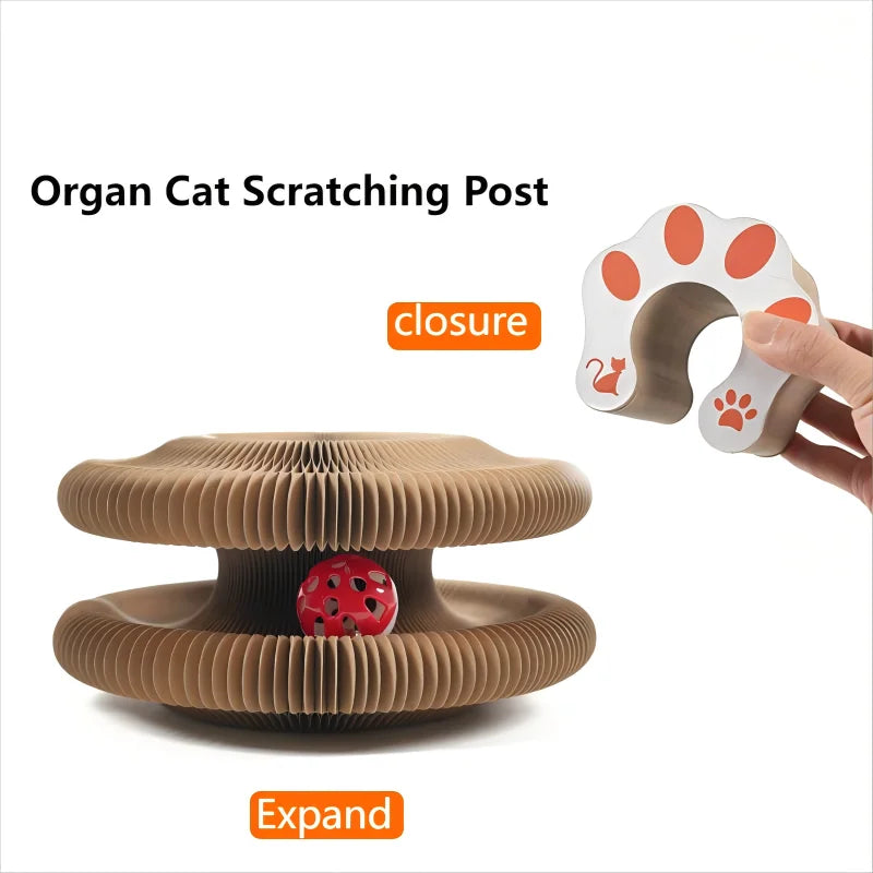 Bring fun and comfort to your cat with this Foldable Magic Organ Scratching Board. Made of durable, recyclable cardboard, it satisfies scratching instincts, offers a cozy rest spot, and keeps playtime interactive and engaging every day.