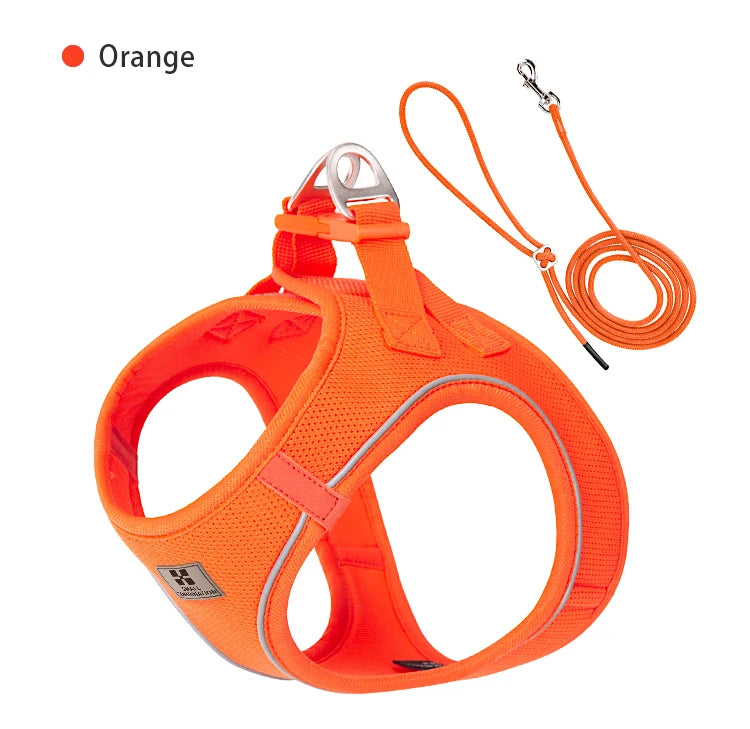 Get safer outdoor walks with this Adjustable Reflective Dog Harness and Leash Set. Ideal for small and medium dogs, it offers secure control, visibility, and comfort—perfect for Chihuahuas, Dachshunds and everyday pet walking.