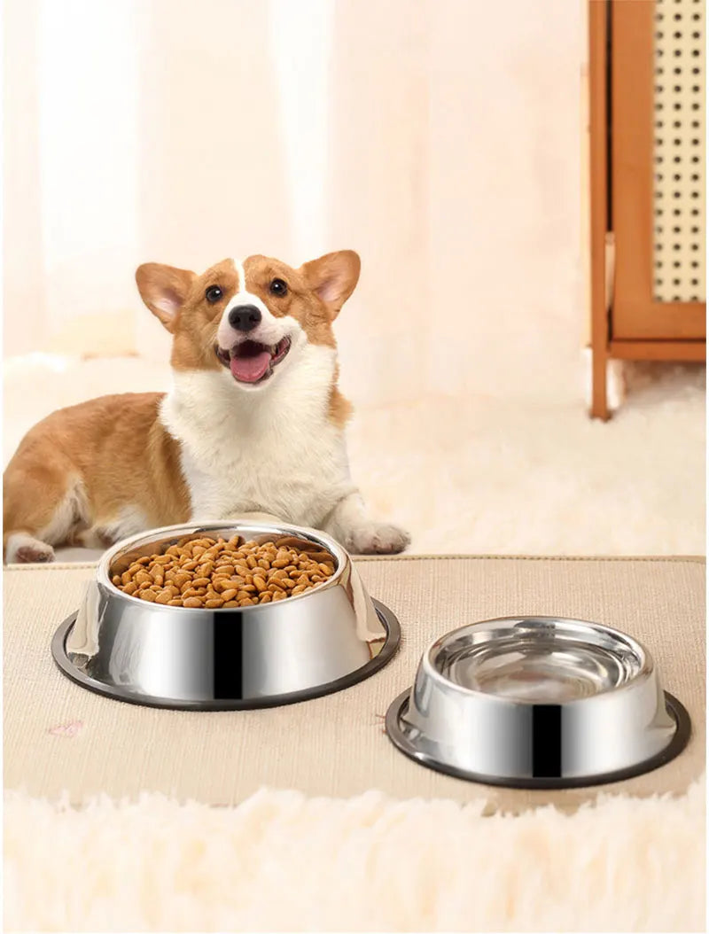 Keep your pet’s meals clean and stable with this Stainless Steel Pet Bowl. Durable, skidproof and anti‑ant, it offers safe feeding for dogs and cats, with six size options for perfect comfort at every meal.