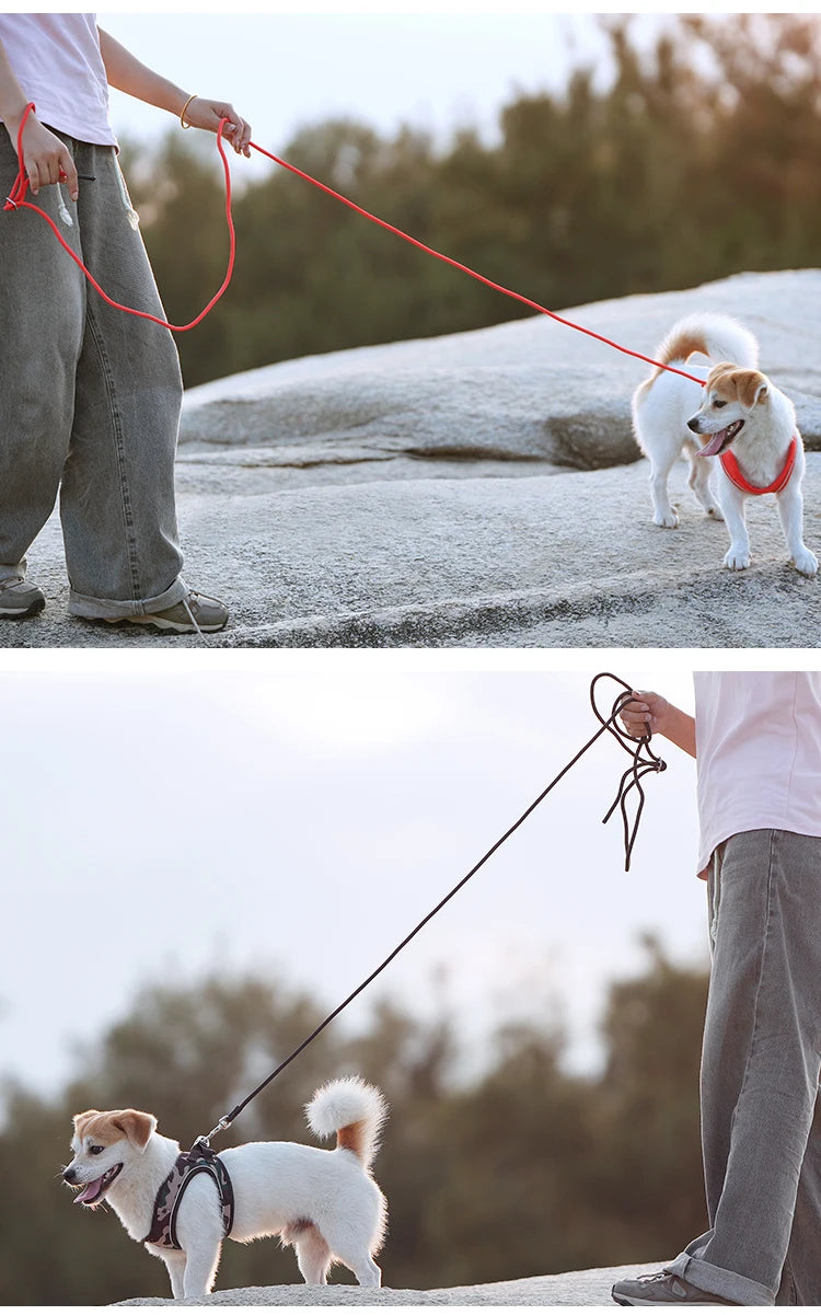 Get safer outdoor walks with this Adjustable Reflective Dog Harness and Leash Set. Ideal for small and medium dogs, it offers secure control, visibility, and comfort—perfect for Chihuahuas, Dachshunds and everyday pet walking.