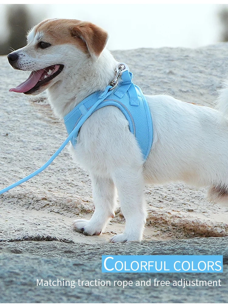 Get safer outdoor walks with this Adjustable Reflective Dog Harness and Leash Set. Ideal for small and medium dogs, it offers secure control, visibility, and comfort—perfect for Chihuahuas, Dachshunds and everyday pet walking.