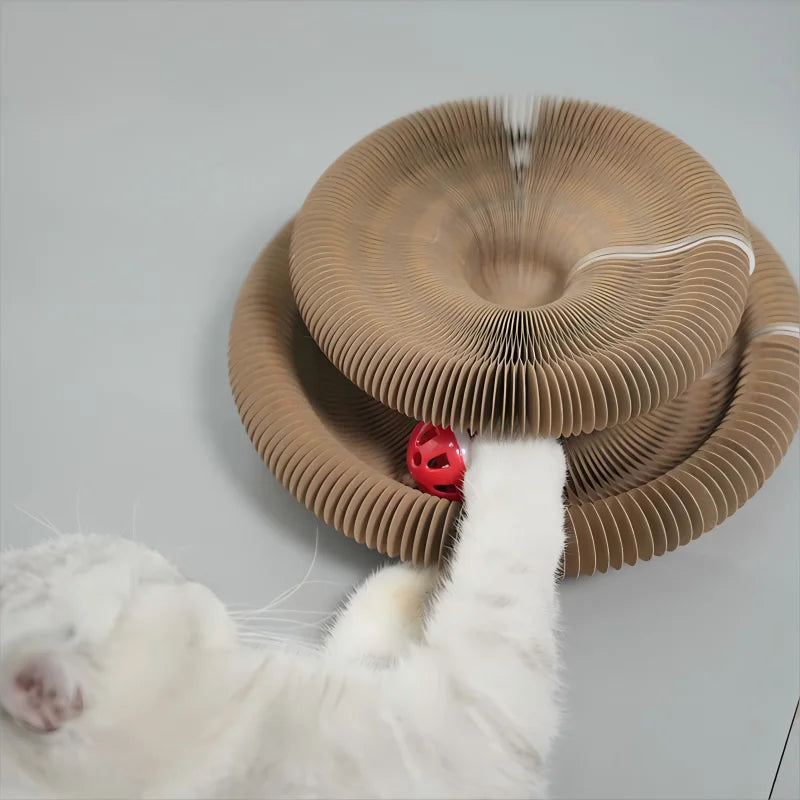 Bring fun and comfort to your cat with this Foldable Magic Organ Scratching Board. Made of durable, recyclable cardboard, it satisfies scratching instincts, offers a cozy rest spot, and keeps playtime interactive and engaging every day.